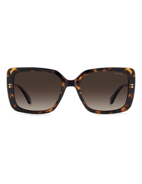 Lentes de sol 4199/S/X para mujer