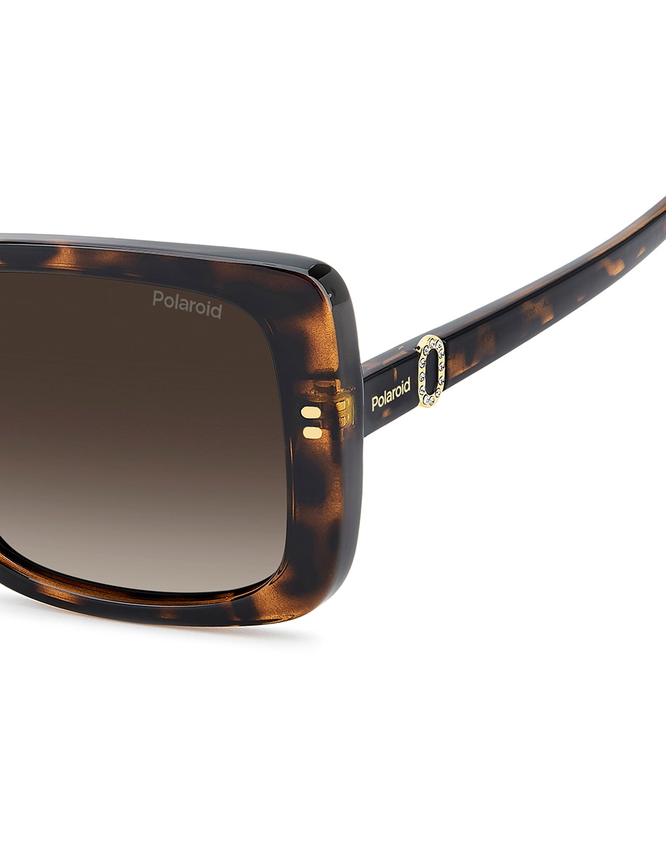 Lentes de sol 4199/S/X para mujer 6