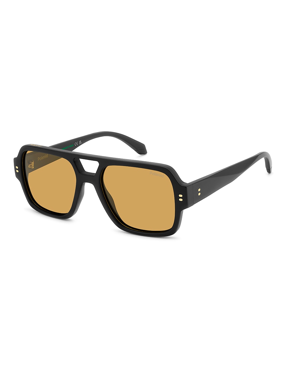Lentes de sol PLD 6250/S/X para hombre