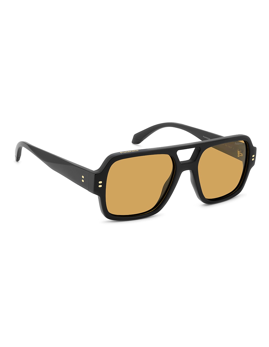 Lentes de sol PLD 6250/S/X para hombre