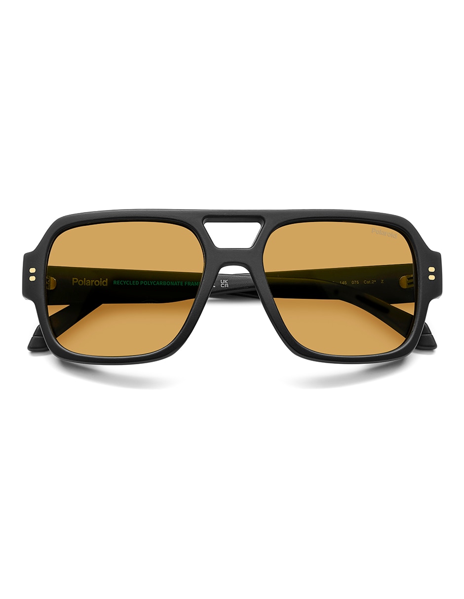 Lentes de sol PLD 6250/S/X para hombre